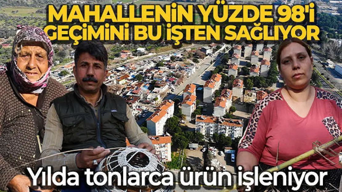 Yılda tonlarca ürün işlenen mahallenin yüzde 98'i geçimini bu işten sağlıyor