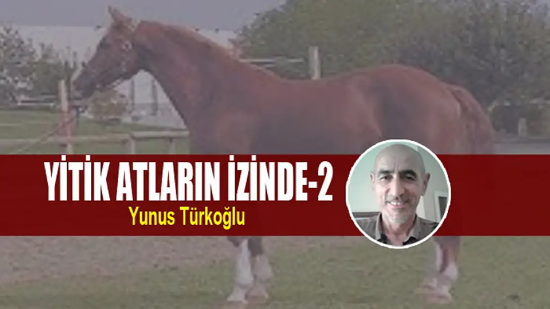 Yitik Atların İzinde-2