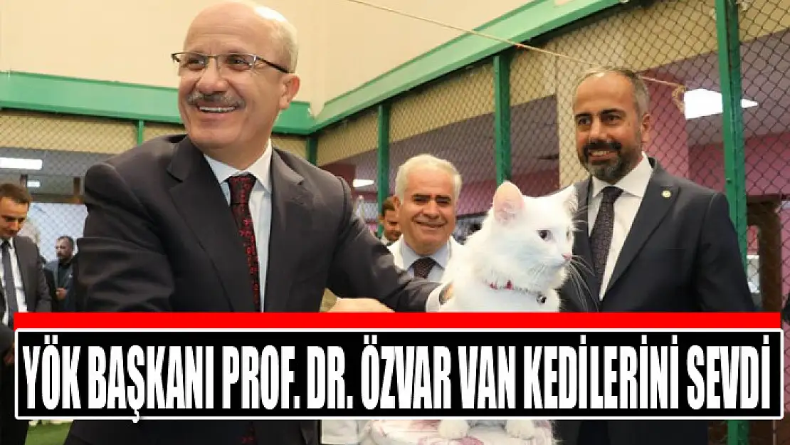 YÖK Başkanı Prof. Dr. Özvar Van kedilerini sevdi