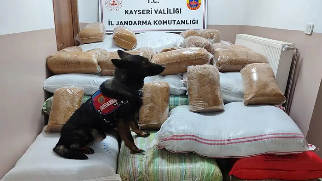 Yolcu otobüsünde 1 buçuk ton kaçak tütün yakalandı