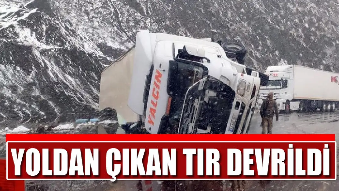 Yoldan çıkan tır devrildi