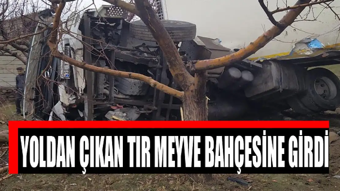 Yoldan çıkan tır meyve bahçesine girdi