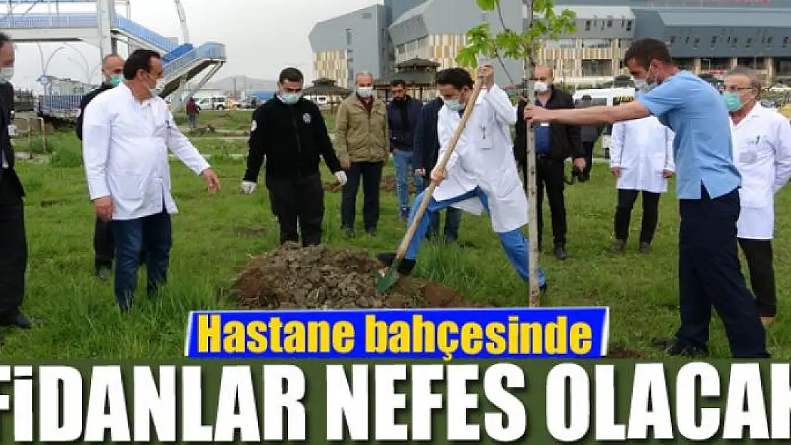 Hastane bahçesinde fidanlar nefes olacak