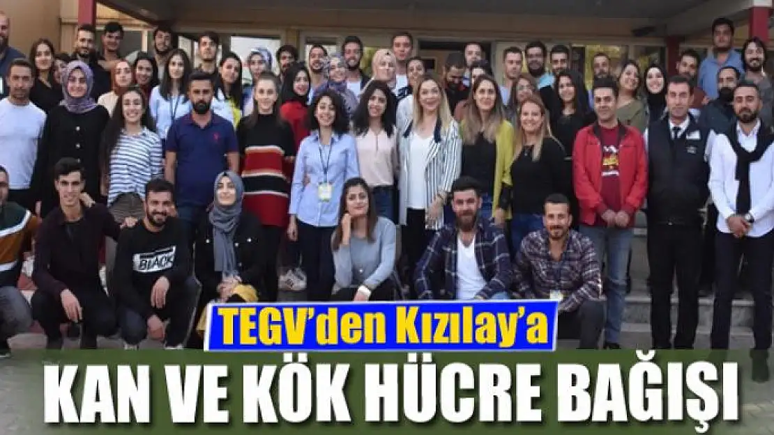 TEGV'den Kızılay'a kan ve kök hücre bağışı