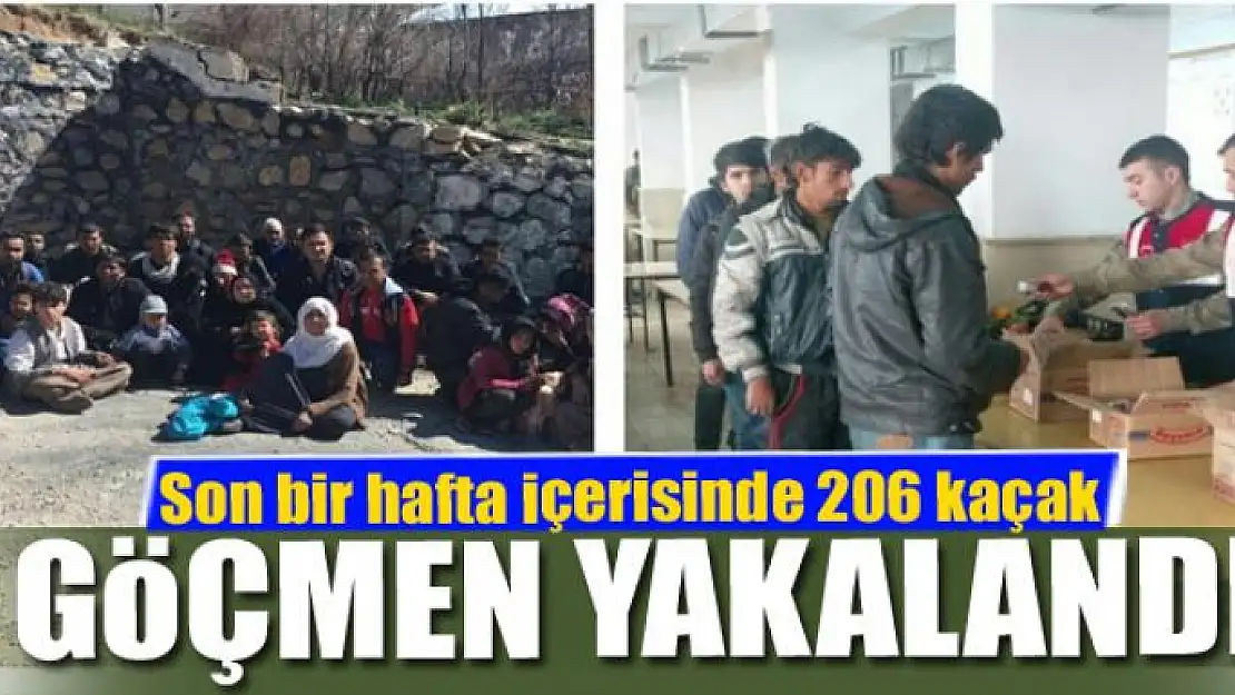 Jandarma son bir hafta içerisinde 206 kaçak göçmen yakaladı