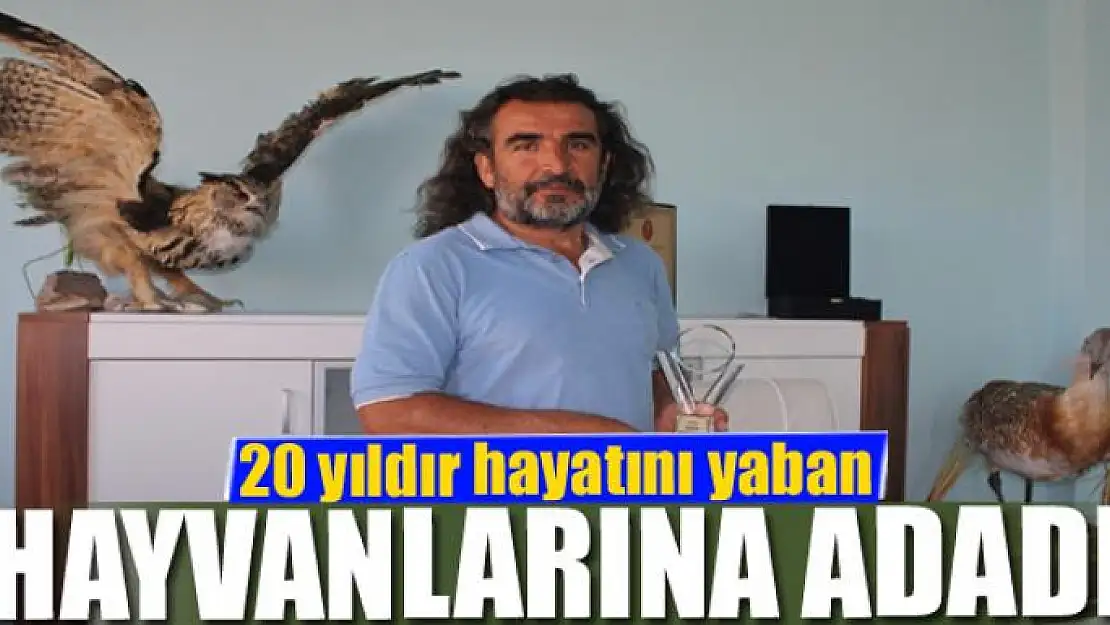 20 yıldır hayatını yaban hayvanlarına adadı