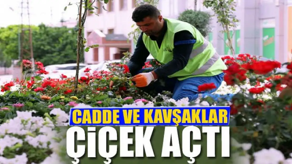 CADDE VE KAVŞAKLAR ÇİÇEK AÇTI