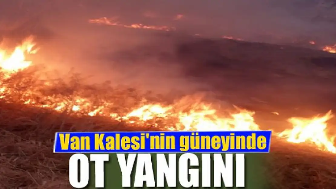 Van Kalesi'nin güneyinde ot yangını