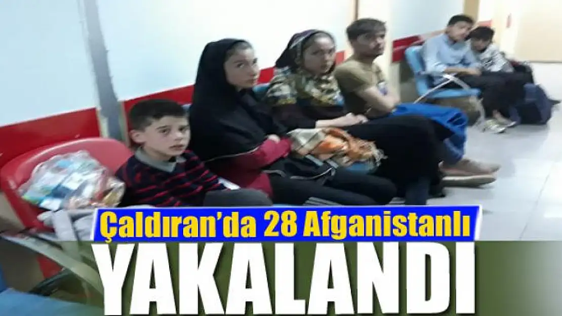 Çaldıran'da 28 Afganistanlı yakalandı