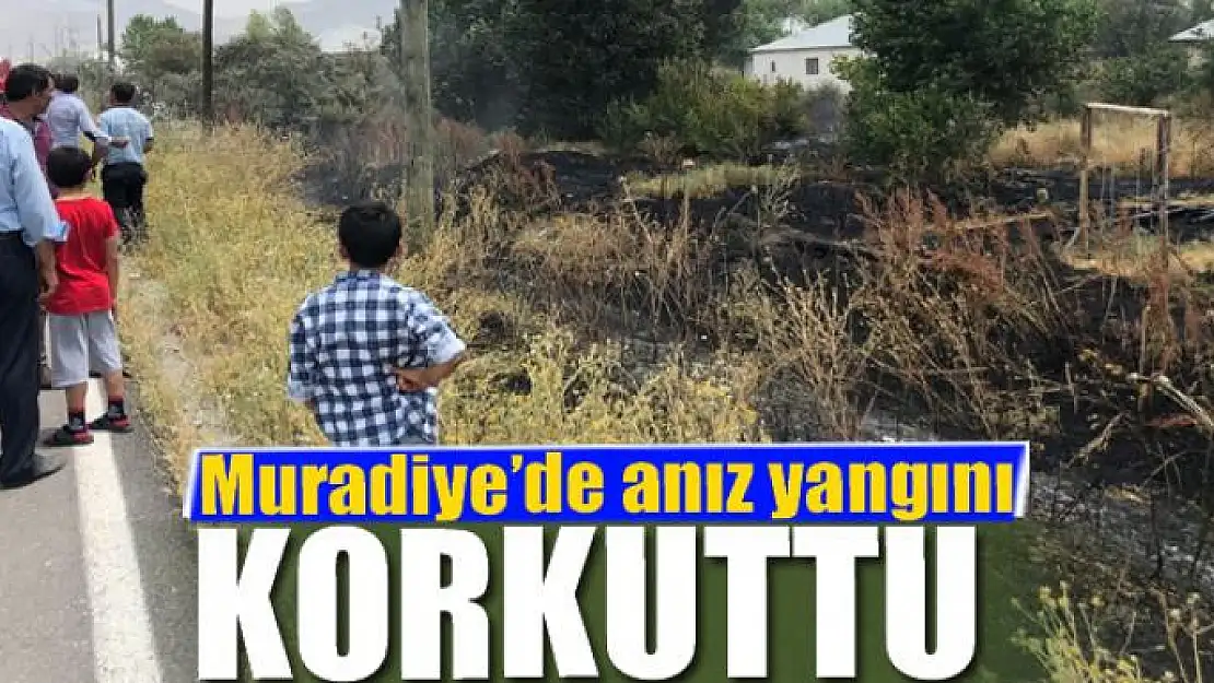 Muradiye'de anız yangını