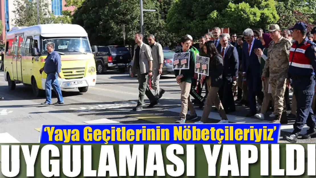 Van'da 'Yaya Geçitlerinin Nöbetçileriyiz' uygulaması