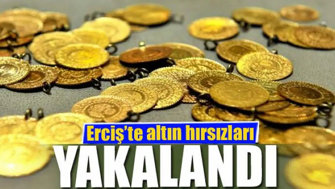 Erciş'te altın hırsızları yakalandı