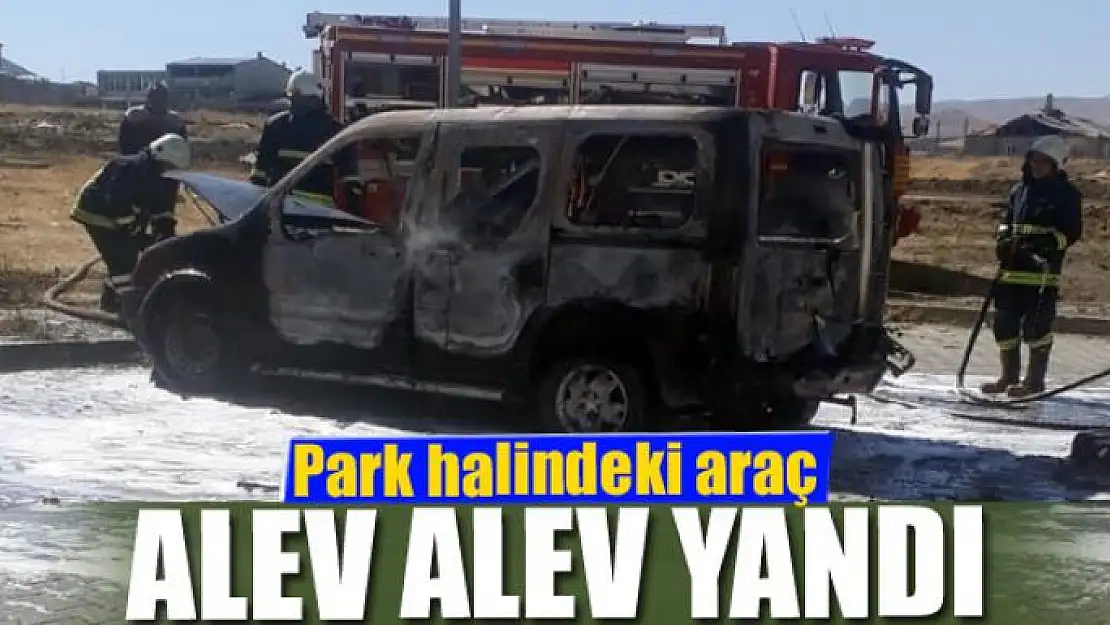 Park halindeki araç alev alev yandı