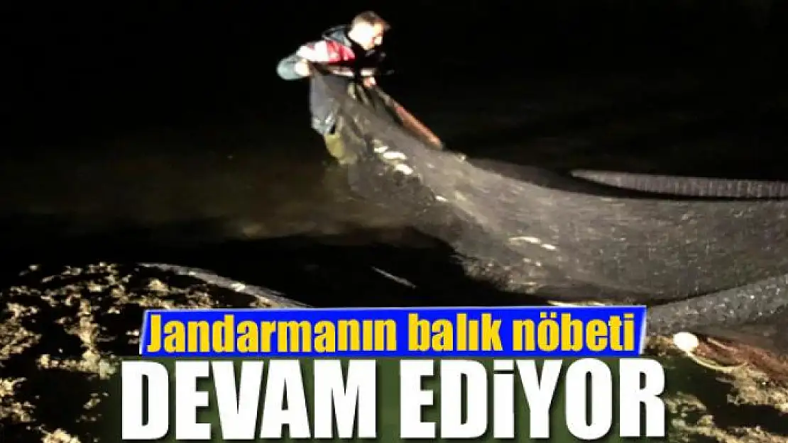 Jandarmanın balık nöbeti devam ediyor