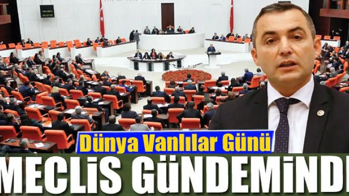 Dünya Vanlılar Günü meclis gündeminde