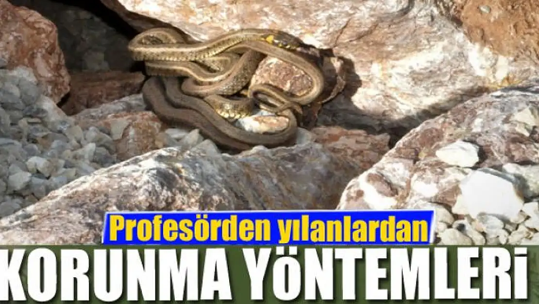 Profesörden yılanlardan korunma yöntemleri