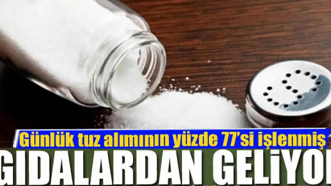 Günlük tuz alımının yüzde 77'si işlenmiş gıdalardan geliyor