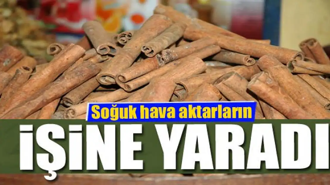 Soğuk hava aktarların işine yaradı