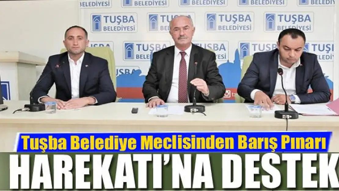 Tuşba Belediye Meclisinden Barış Pınarı Harekatı'na destek