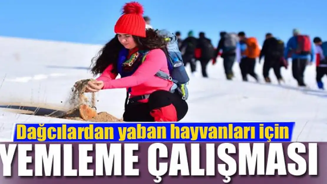 Dağcılardan yaban hayvanları için yemleme çalışması