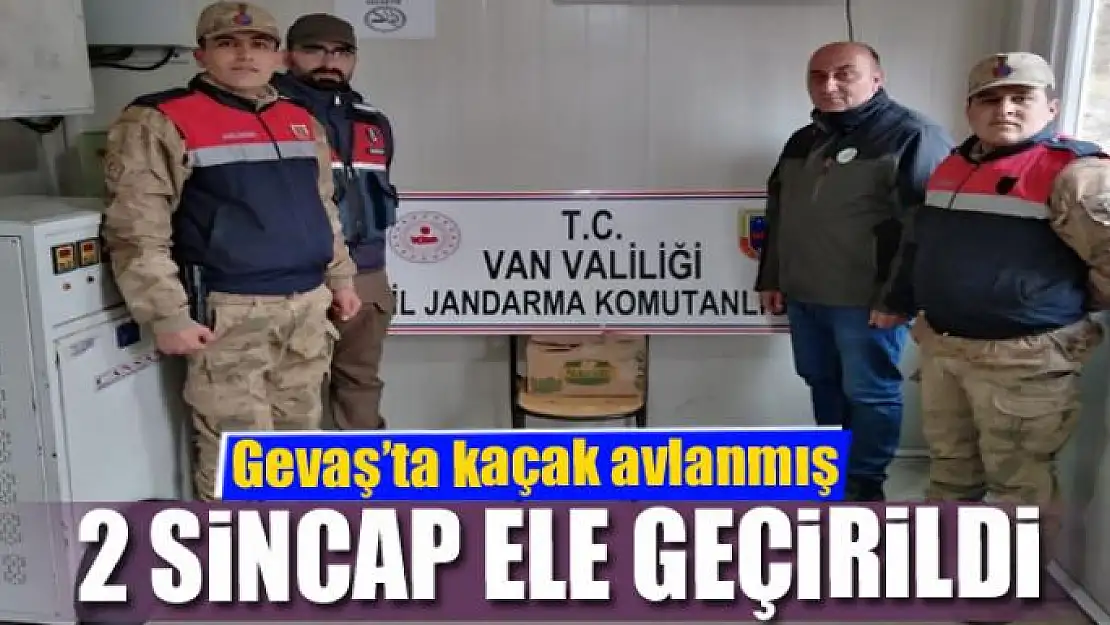 Gevaş'ta kaçak avlanmış 2 Sincap ele geçirildi