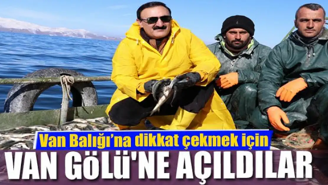 Van Balığı'na dikkat çekmek için Van Gölü'ne açıldılar 