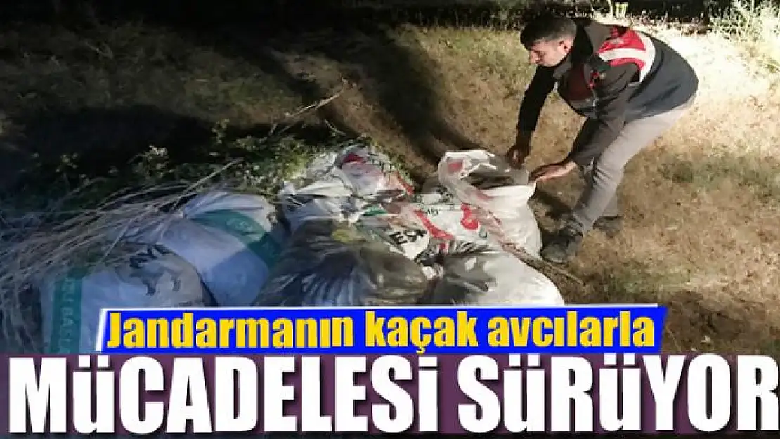 Jandarmanın kaçak avcılarla mücadelesi 