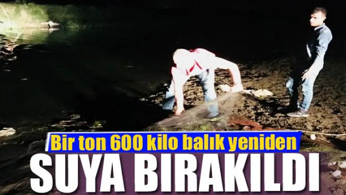 Kaçak avlanan balıklar yeniden suya bırakıldı 