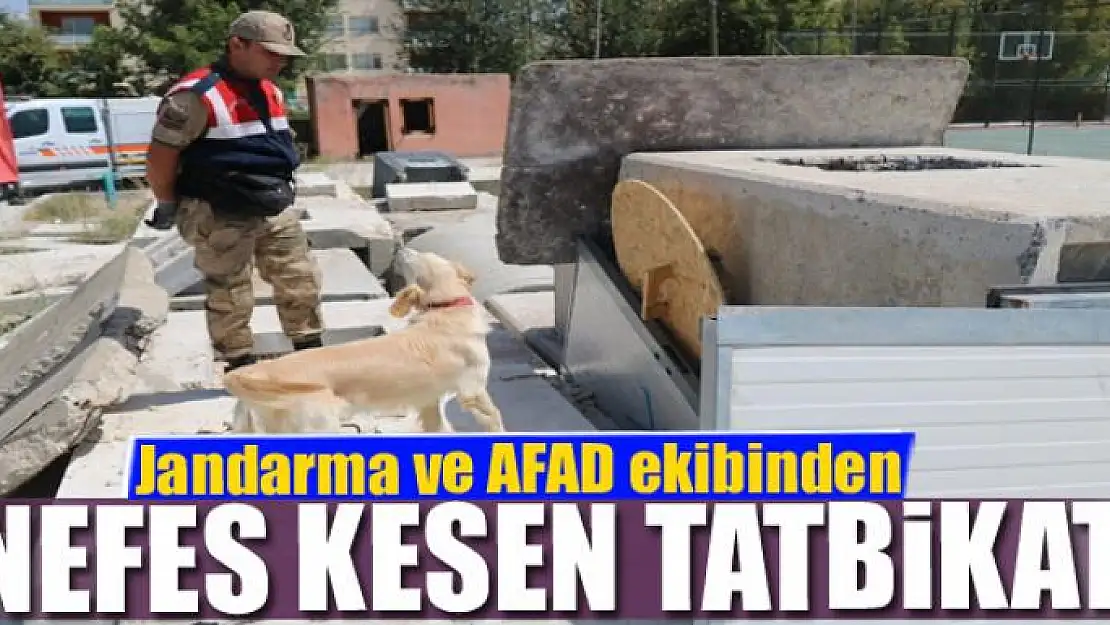 Jandarma ve AFAD ekibinden nefes kesen tatbikat