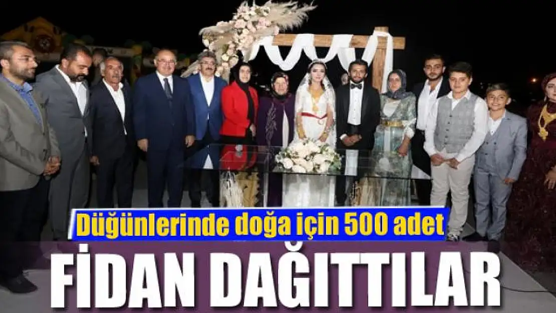 Düğünlerinde doğa için 500 adet fidan dağıttılar