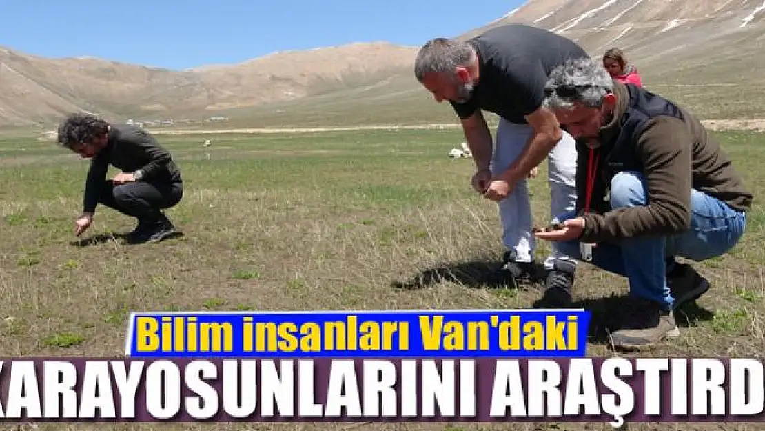 Bilim insanları Van'daki karayosunlarını araştırdı