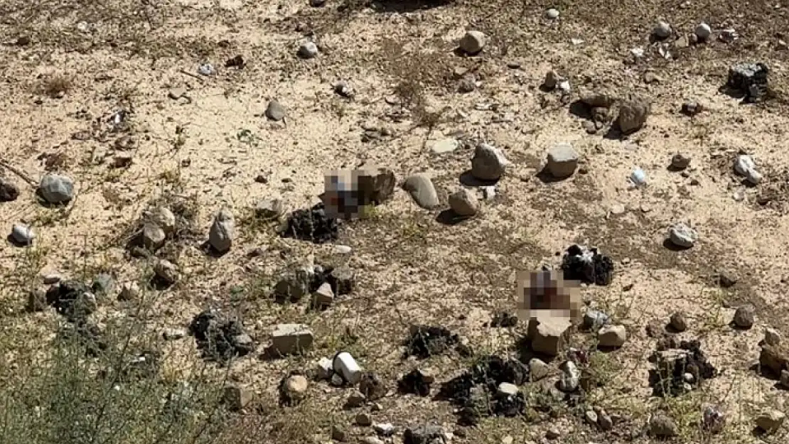 Yüksekova'da mezarlık yanına bırakılan bira şişeleri tepki topladı