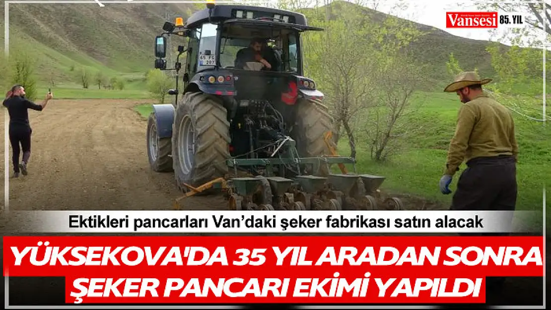 Yüksekova'da 35 yıl aradan sonra şeker pancarı ekimi yapıldı