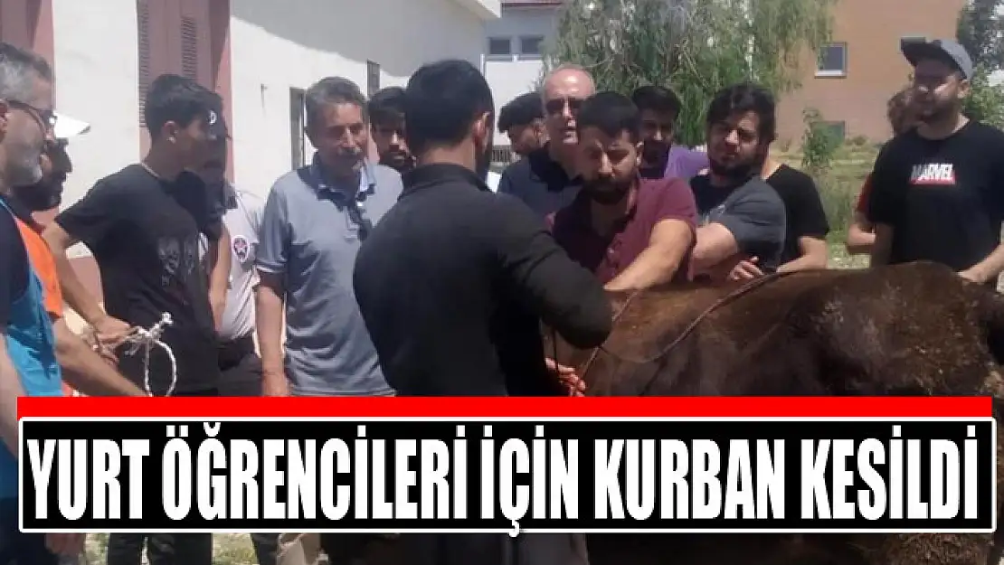 Yurt öğrencileri için kurban kesildi