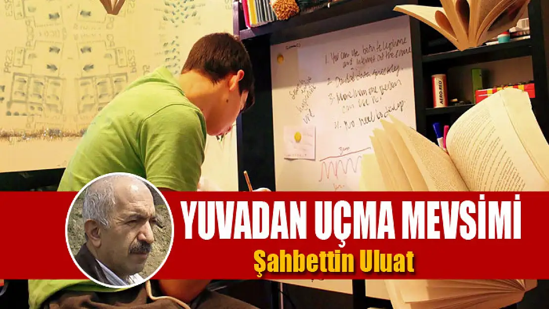 Yuvadan uçma mevsimi