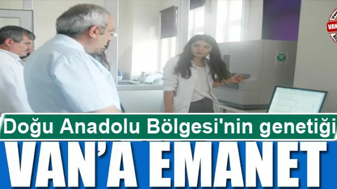Doğu Anadolu Bölgesi'nin genetiği Van'a emanet 