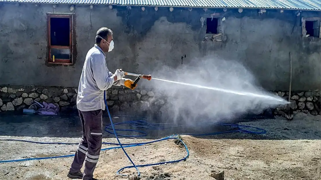 Zararlılara karşı ilaçlama seferberliği devam ediyor