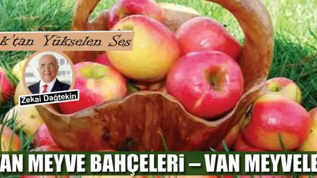 Van  Meyve Bahçeleri - Van Meyveleri