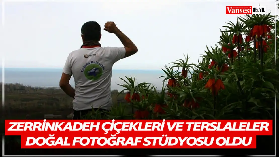 Zeringadek ve terslaleler doğal fotoğraf stüdyosu oldu