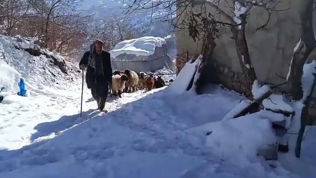 Zorlu kış mesaisi başladı