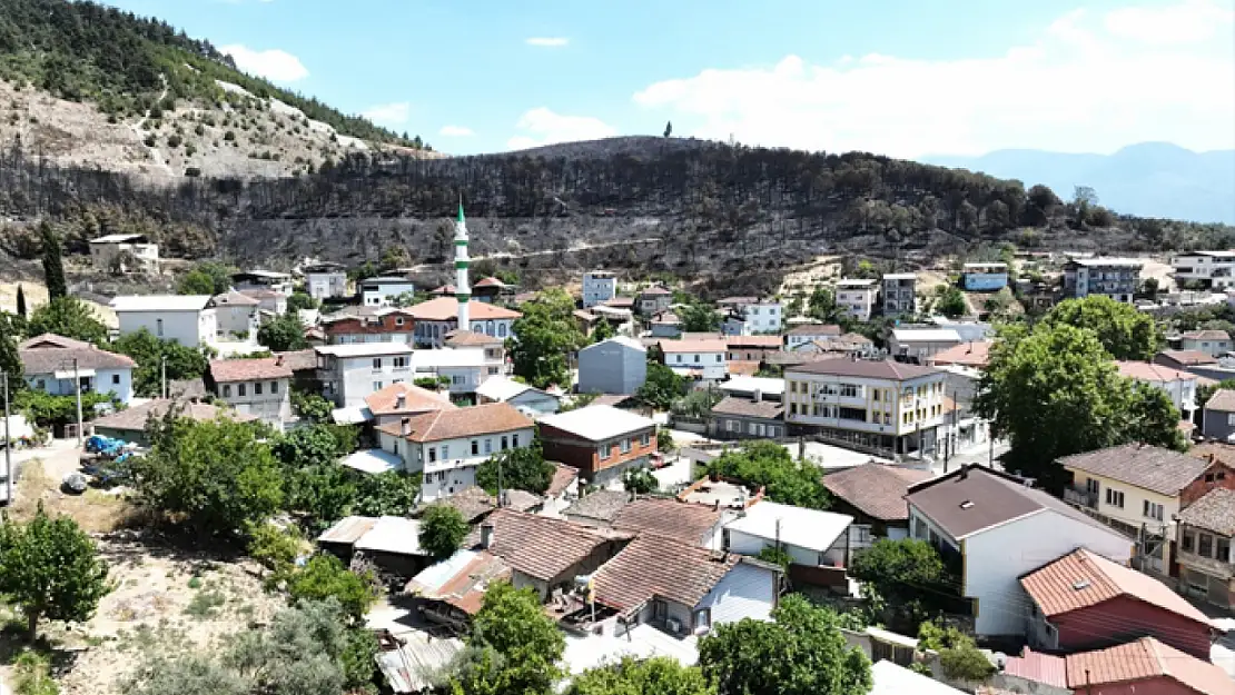 Zümrüt yeşili orman manzaraları kömürlüğe döndü