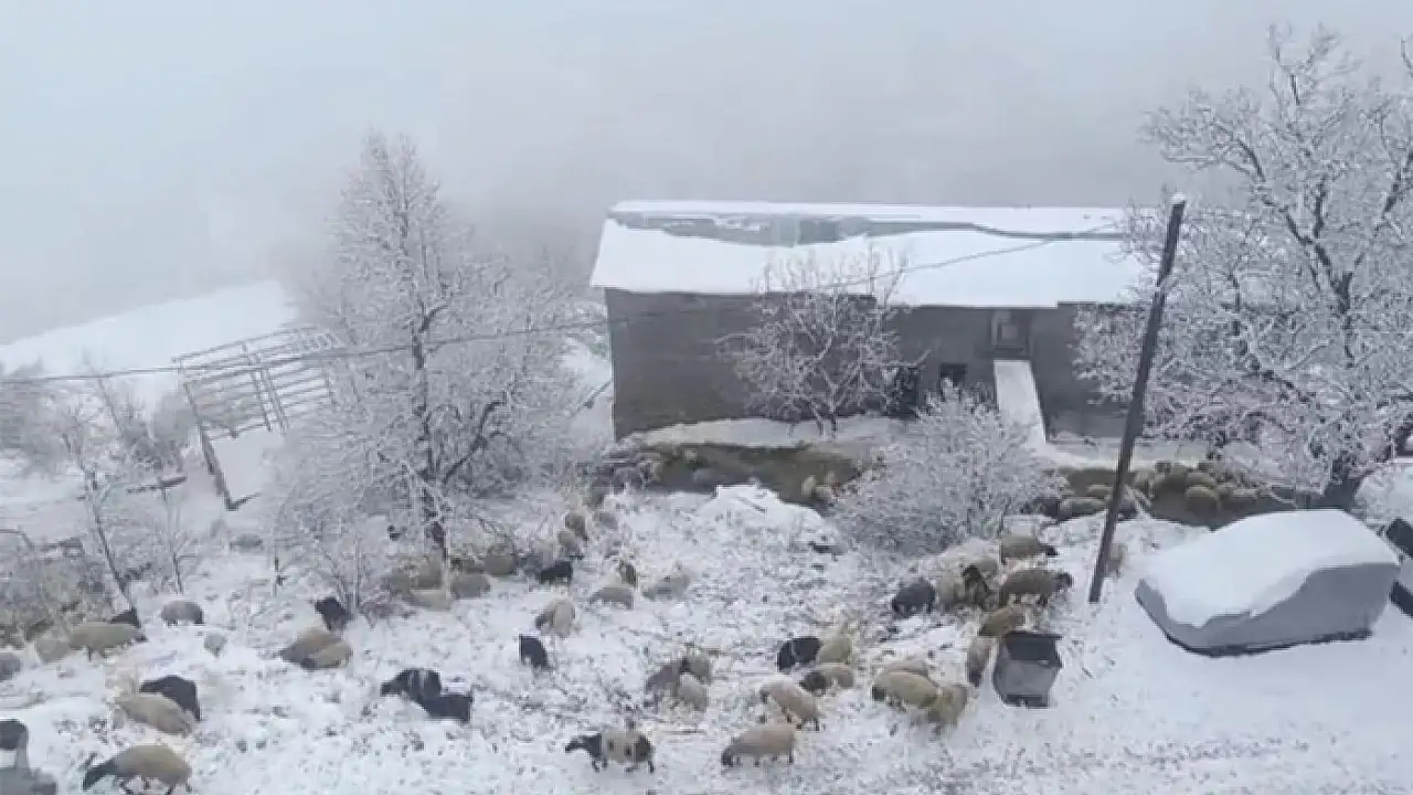 Bahçesaray'da kar yağışı