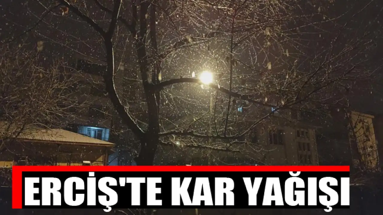Erciş'te kar yağışı