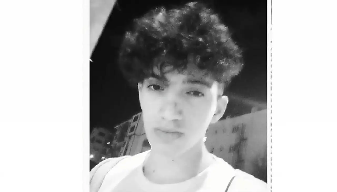 Van Gölü İncileri