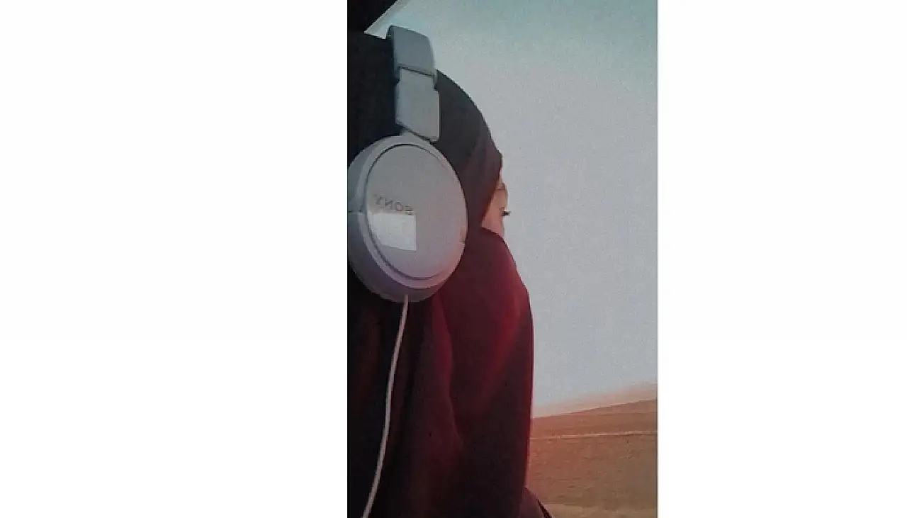 Van Gölü İncileri