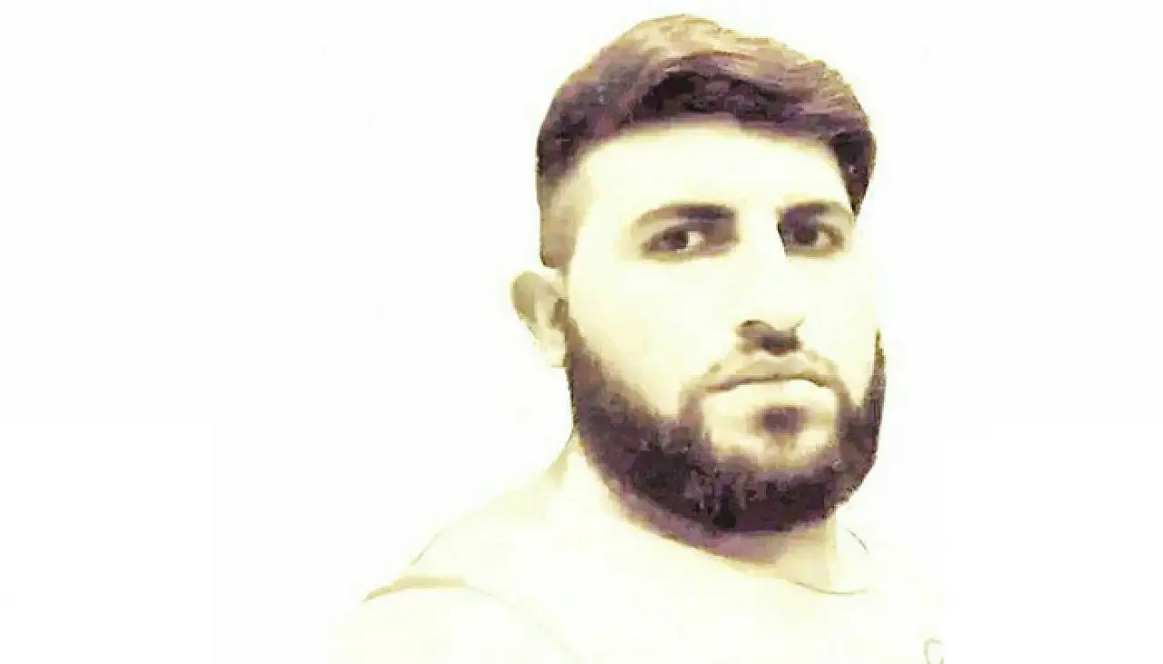 Van Gölü İncileri