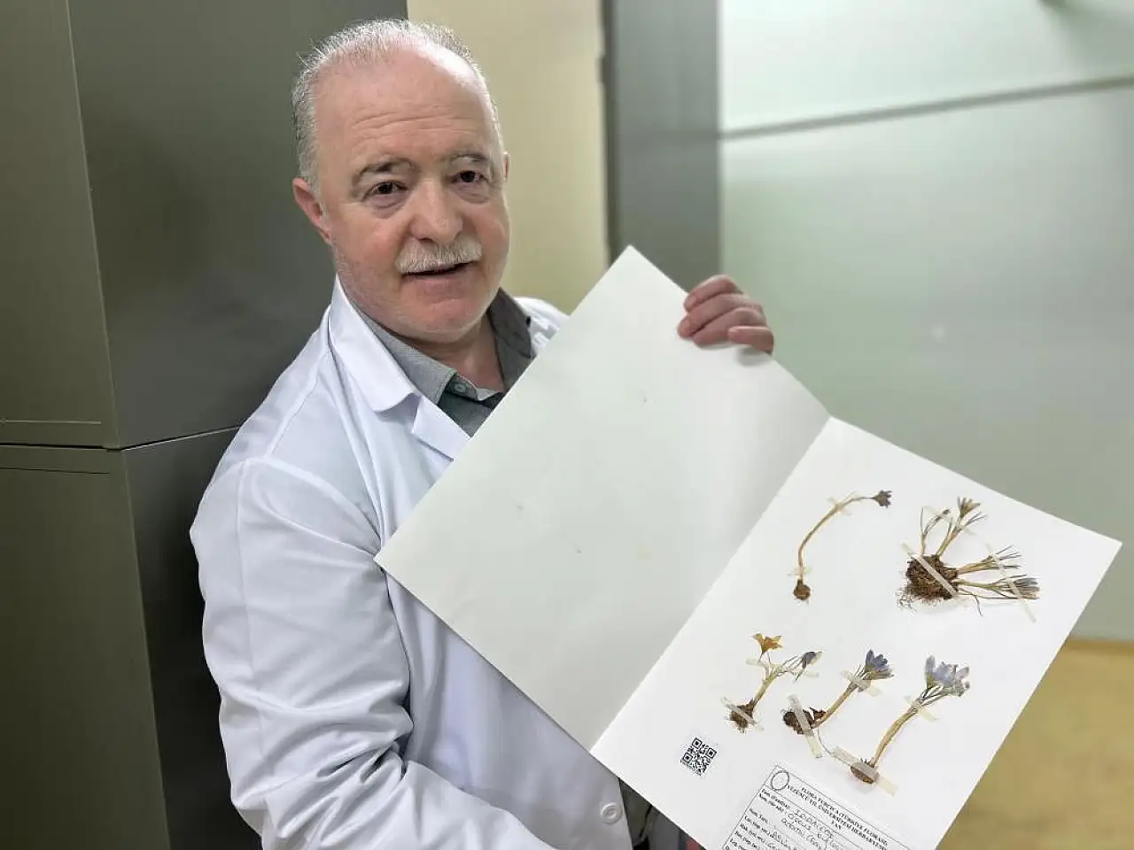 VANF Herbaryumu'nda safran koruma altında