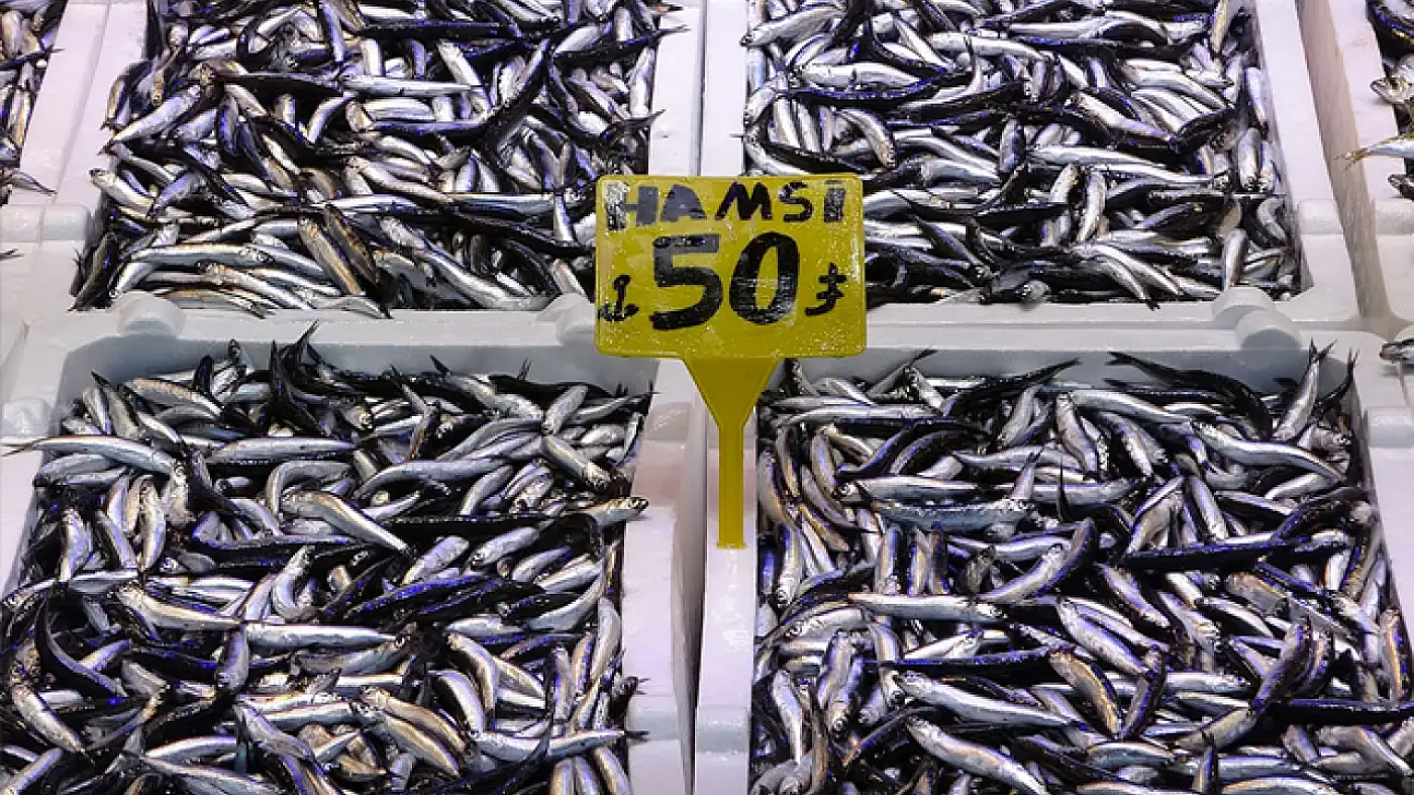 Karadeniz son 35 yılın en bereketli hamsi sezonunu yaşıyor