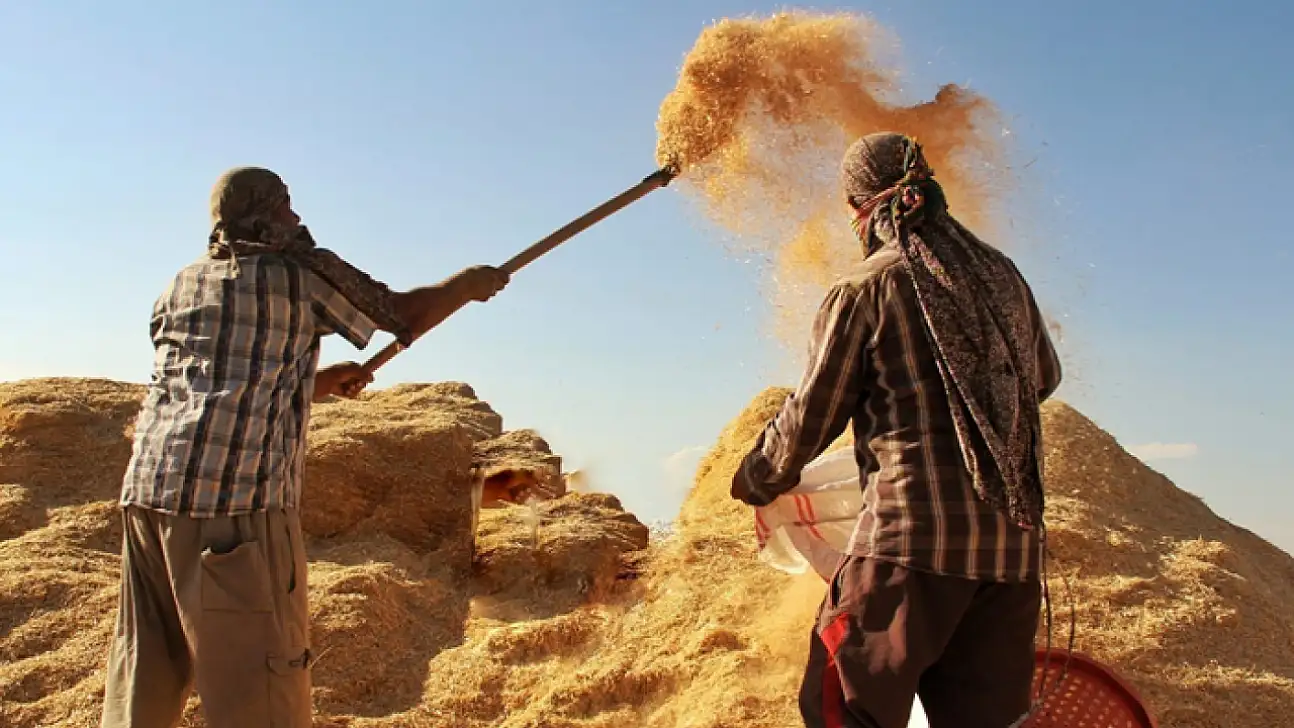 Tarım-GFE yıllık yüzde 34,60 arttı