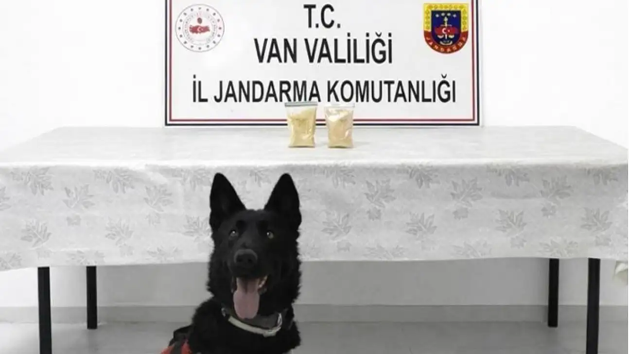 Van'da İranlı şahısın üzerinde eroin ele geçirildi